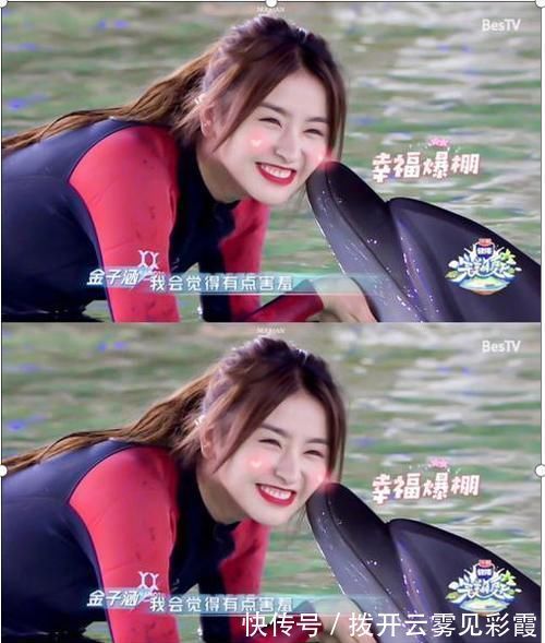 動(dòng)植物|節(jié)目組又秀智商采摘捕撈國家保護(hù)的動(dòng)植物，遭到專家瘋狂怒懟