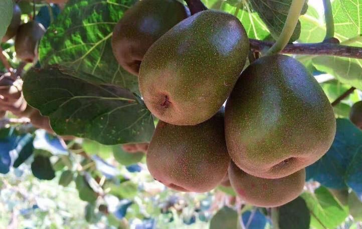 经常熬夜的人，多吃3种食物，减少熬夜危害！