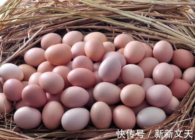买鸡蛋时，到底该挑红皮还是白皮？饲养员透露：挑错等于白花钱