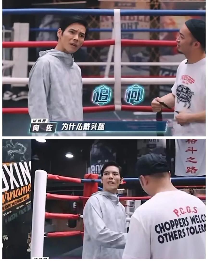 向佐打拳击输给了肖顺尧，怪不得曹云金质疑药水哥曾“放水”向佐