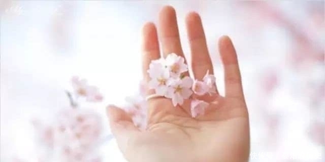 人生|人生最美,是回眸一笑