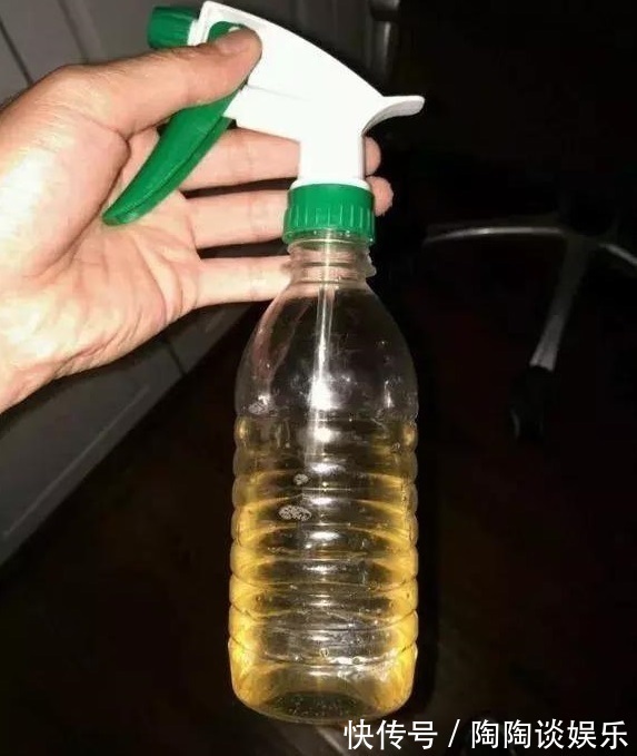 肥料|绿萝的最爱，家家都有，2周喂一点，叶子油绿翠亮，新叶巴掌大