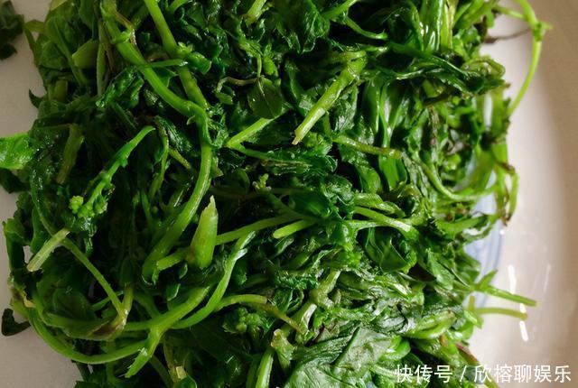 90年代人见人摘,如今却常被荒在野外,如果你家也有,请你珍惜