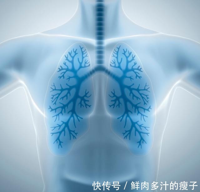 变得|养肺能手已经知晓,不是梨而是它,经常吃,肺或许会变得越来越好