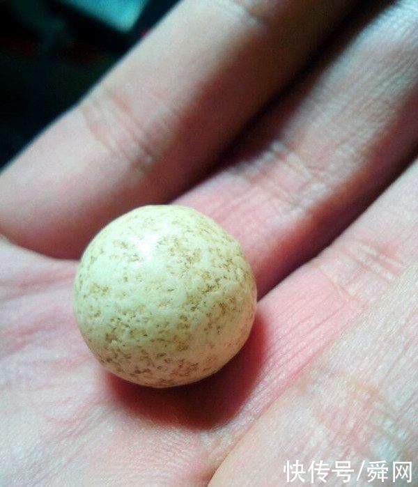  傻眼|懂玉器小伙捡到一颗小石头，傻眼了，上交国家还是自己留着呢?