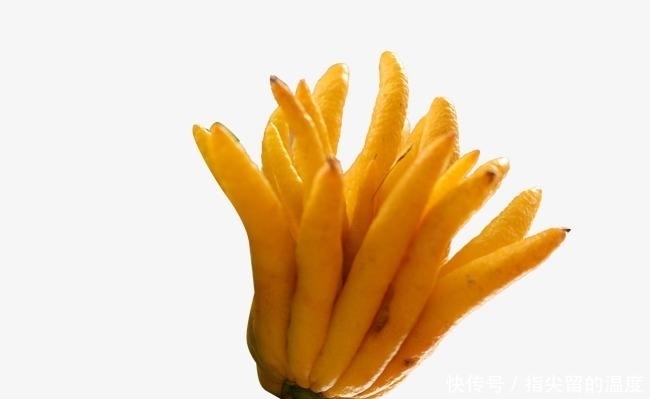 路边|提个醒:在路边遇到此野果,一定要摘回家,现在了解还不迟