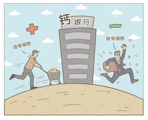 息息相关|老了是否会骨质疏松，和你现在的一个决定息息相关