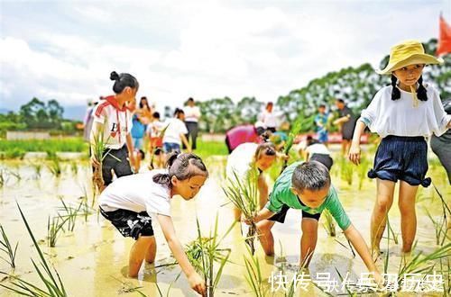孩子|“妈妈,为什么不能浪费粮食”,这妈妈的回答是我听过最好的答案