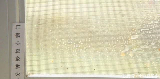 纱窗脏了别拆洗，清洗纱窗方法，喷一喷污垢自己掉下来，超实用！