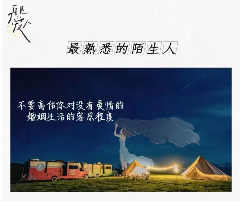 致郁|《再见爱人》：离婚夫妻上综艺，“小虐综”可行吗？
