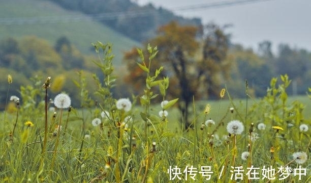 白羊座|还有三周，旧情难舍，再遇旧爱，姻缘天定，再度相爱，白头到老