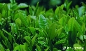 用来|古代的茶文化,为何是吃茶而不是喝茶?这茶真的是用来吃的
