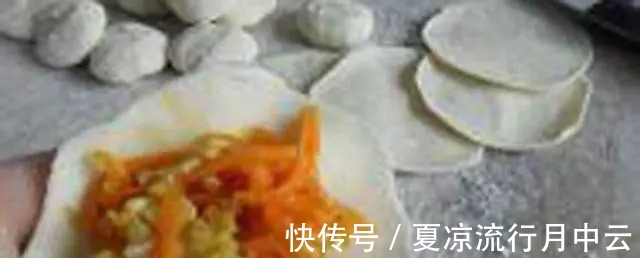 豆腐皮|12款素饺子做法集锦,有了这个家人有口福了!