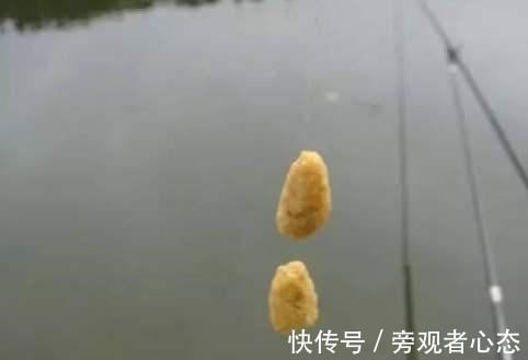 饵料|野钓鲤鱼螺鲤、九一八、蓝鲫的搭配方式,合理搭配效果更好!