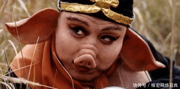  放在耳朵|孙悟空可以把金箍棒放进耳朵里，猪八戒把他的九齿钉耙放哪里？