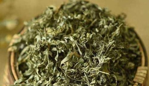 可惜|老奶奶坚持喝“艾草水”，4大好处唾手可得，不爱喝的人可惜了