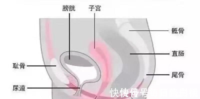 盆底肌|练瑜伽,如何加强盆底肌?这几个动作要常练!