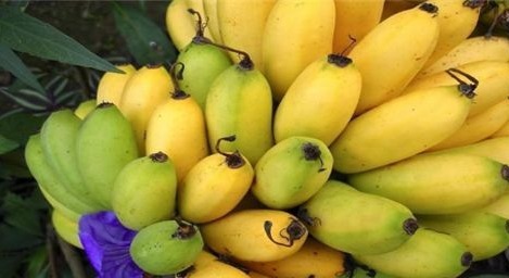 蓝莓|中年人不妨常吃的食物,养肝排毒,润肤养颜,肌肤更细嫩