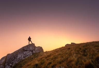 寂寞梧桐深院锁清秋$袁枚的一首五律,前六句看似平淡,最后两句却如奇峰突起
