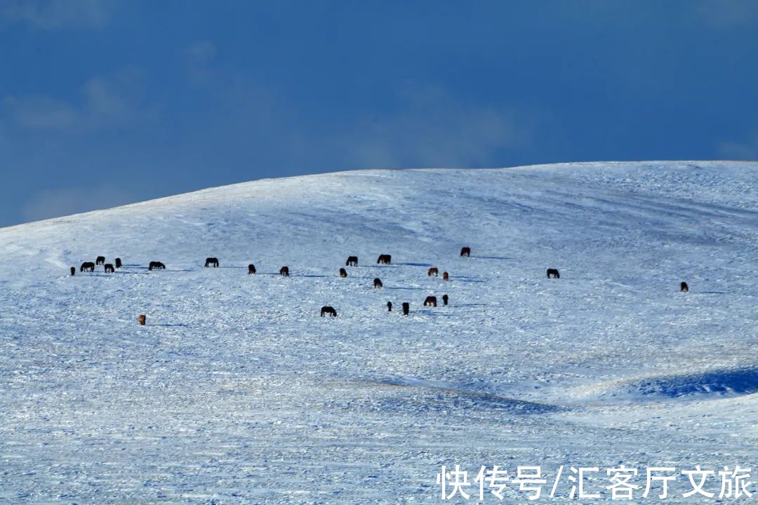 哈尔滨|这才是跟冬天最配的自驾线，沿途雪景美成童话，错过再等一年