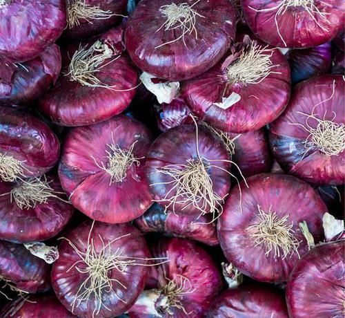 洋蔥盡量少吃，最好不吃，有些細(xì)節(jié)越早清楚就越好