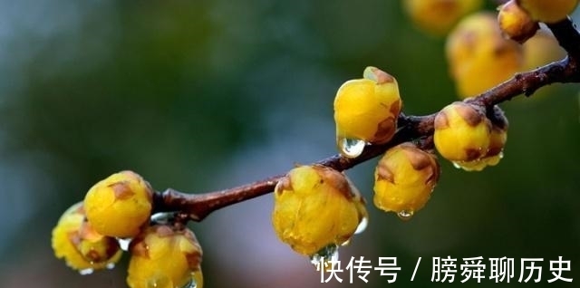 释义|人生有四悲四喜,人生“三惜”又是什么?