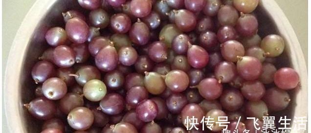 血管健康|4种食物可滋养身体的肝脏,还软化血管防血栓降血脂,要记得吃