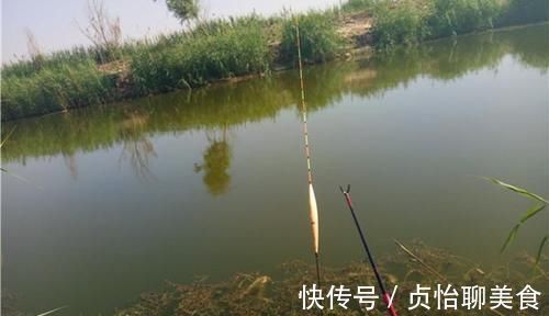 野钓浮漂的选用和调漂原则，能否连竿上鱼，跟调漂关系很大！