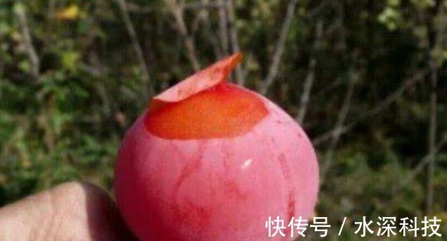 补血|女性最好的零食,不想老太快需多吃,补血活血,保持健康好气色