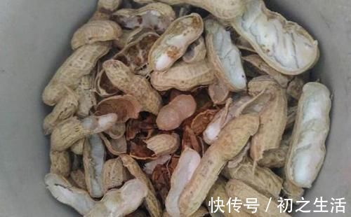 3种垃圾'一文不值'，却对养花有用，可让植物叶片又绿又肥