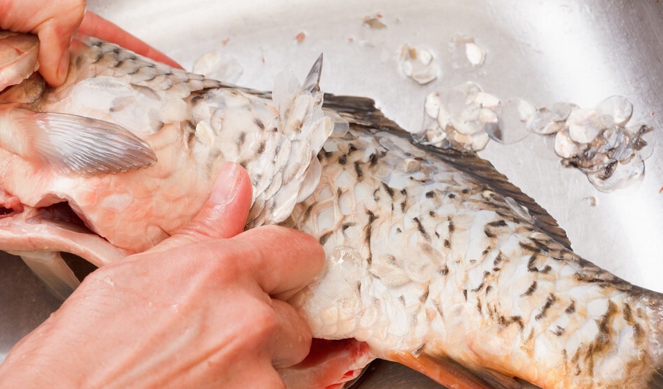 炖鱼,不要只会加料酒,多放这2样,鱼肉鲜嫩不柴,去腥效果好