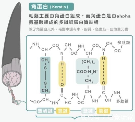 三大层 别人烫发是女神，我烫完是步惊云，烫发是如何改变头发形状的！