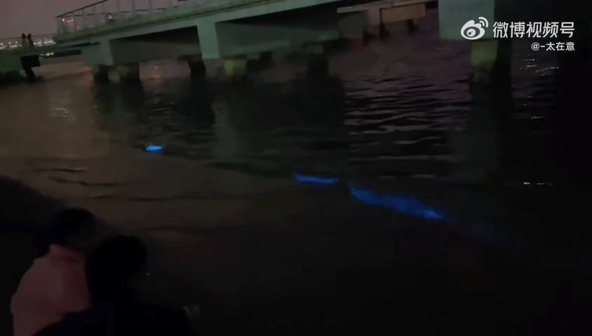 海峡导报|突发！厦门海沧湾公园人人人人人