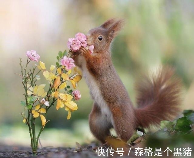 |能解闷的经典搞笑段子,一句够笑一天,越看越开心