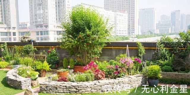 矾根|为了300㎡露台花园,毫不犹豫买了这房子,在城市屋顶过上田园生活!