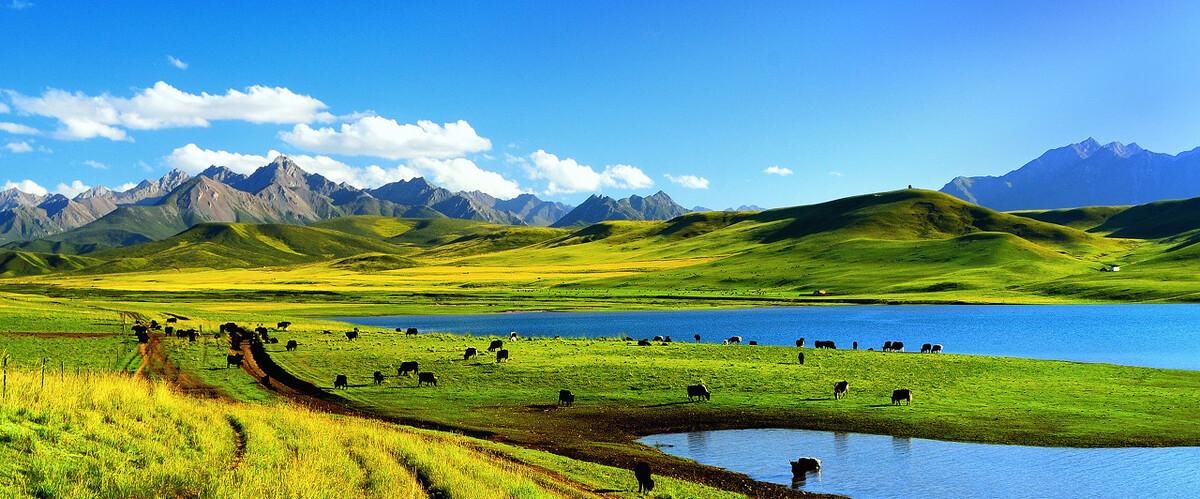 青海湖|那苍凉而又生机勃勃，孤独寂寞而又热闹繁盛，西北旅游全攻略