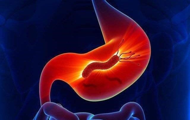 蘑菇|让幽门螺杆菌“不打自招”，只需饭前吃一物，胃免受伤害