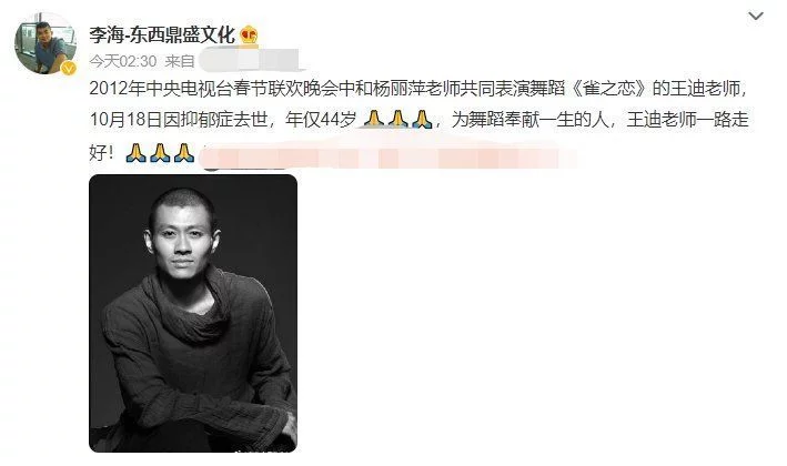 鹧鸪天·著名舞蹈演员王迪意外去世