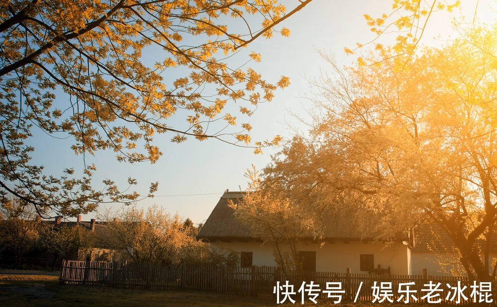 岁月&胡乱抓一把秋,洒向那匆匆岁月长河