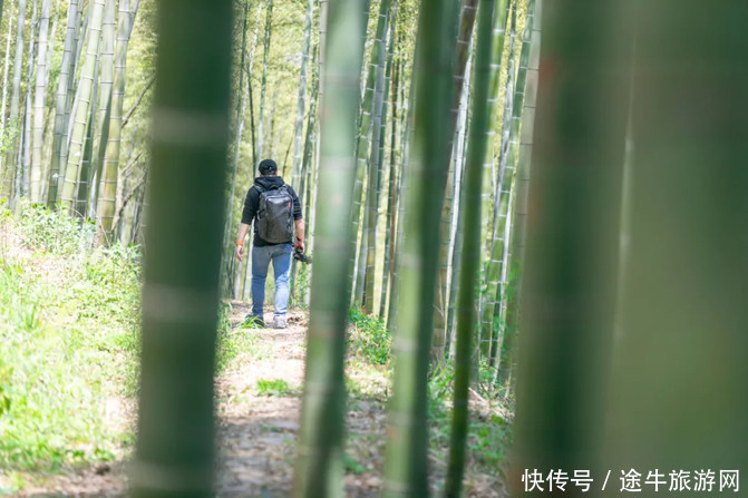 春游记｜穿越宜兴竹海，徒步挑战苏南第一峰