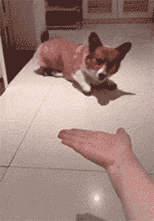 国家|“全世界有198面国旗,为什么没有国家用紫色?”太疑惑了