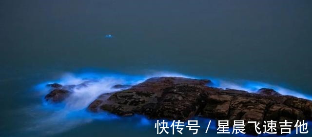 海岛|光海岛就有1000+个！央视都来直播的小城，7月能偶遇梦幻的荧光海！