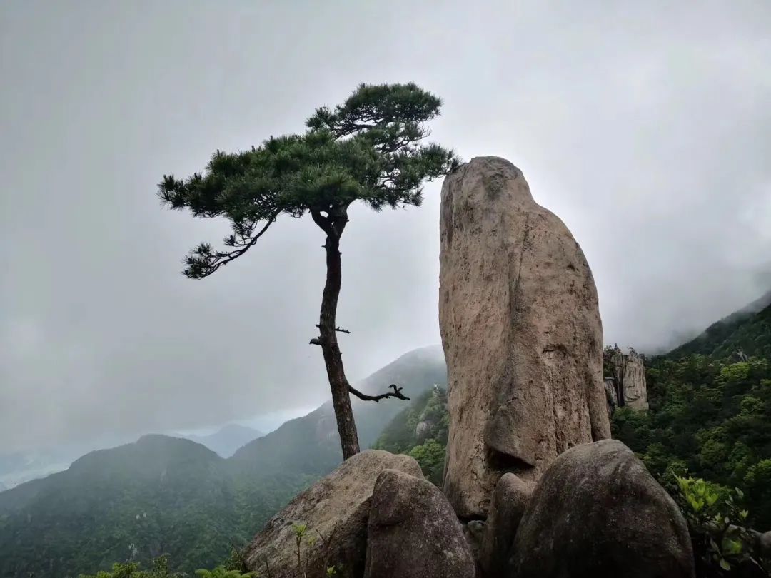 岩门|秋日最宜登高望远，缙云这些爬山好去处必须要知道！