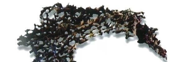 丝绸|中国丝绸博物馆馆长:五千多年前的最早丝绸是如何发现的?