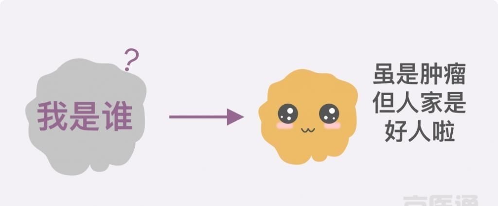 卵巢囊肿|结节、息肉、囊肿是癌症先兆吗？北肿专家们说出了真相！