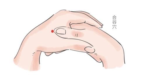 合谷穴|负能量最怕这4个穴位！打开四关一身轻！