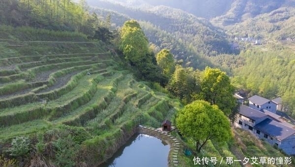 这一处奢华的民宿，囊括了山林美景，真的美呆了