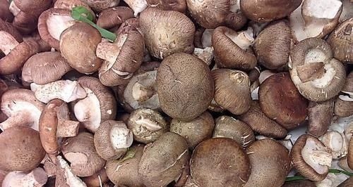 叶酸|女性常吃5种天然食物，子宫干净了，皮肤细腻光滑，告别妇科病