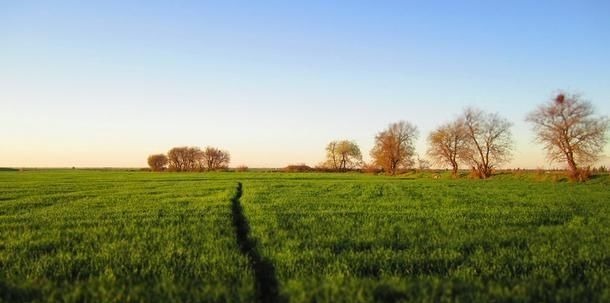 黎民&宝宝名推荐：10个气质高贵的诗经新生儿名，在下服了