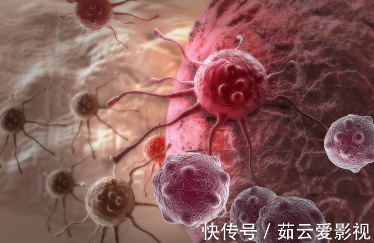 耐药性|靶向药效果显著,为啥医生不给每位癌症患者用?3个原因很现实